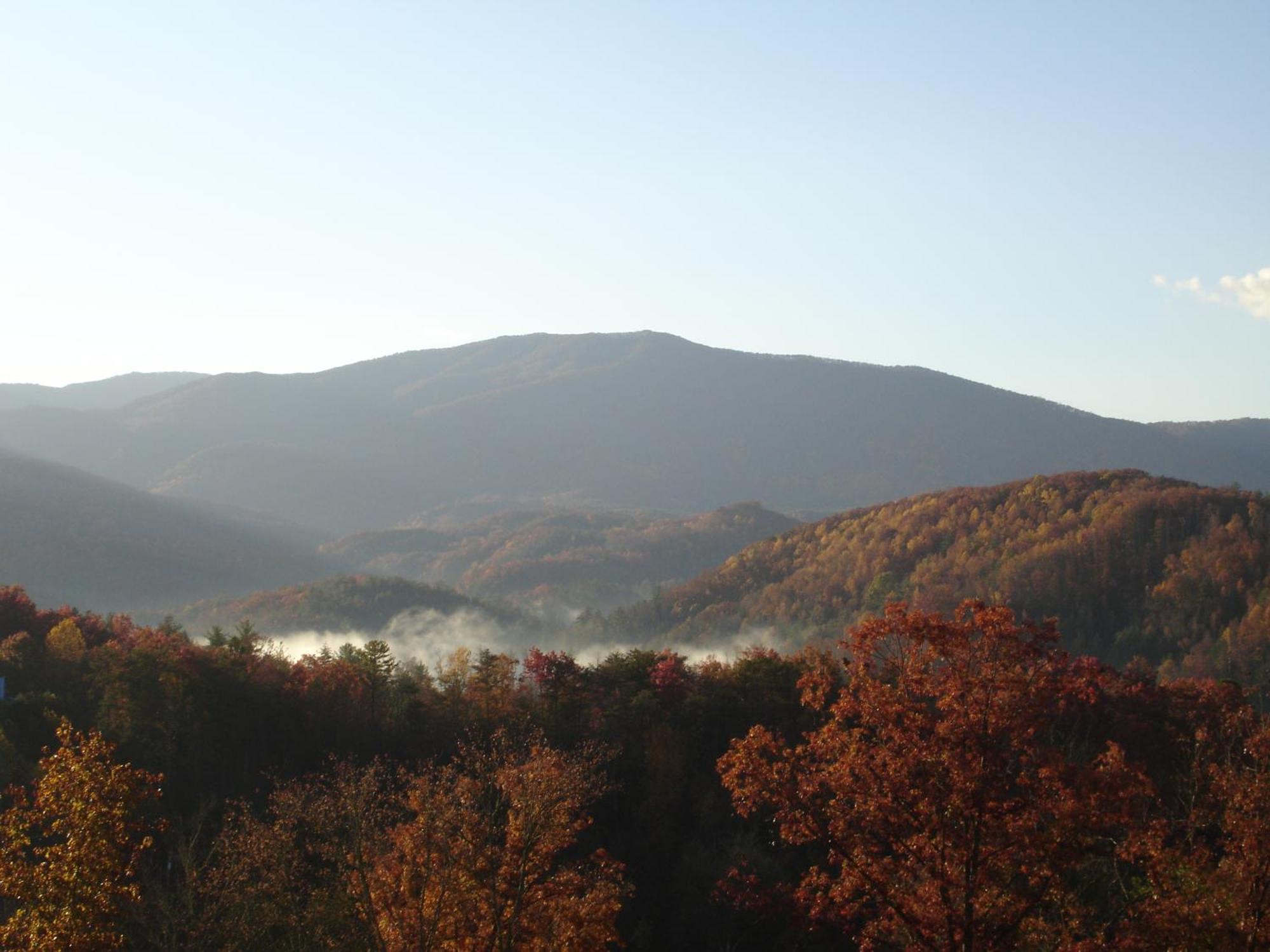 Stairway To Heaven, Breathtaking Mtn Views Indoor Pool & Hot Tub Appartement Gatlinburg Buitenkant foto