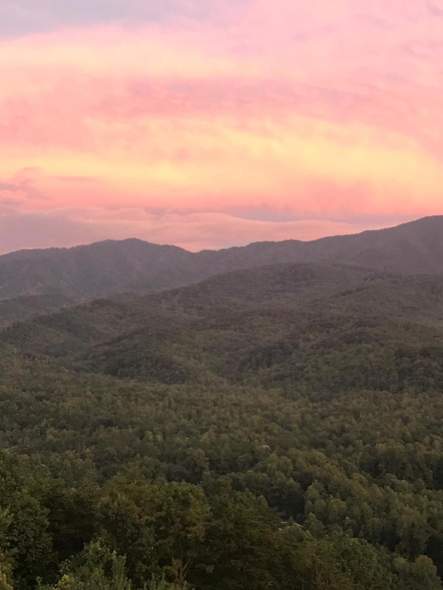 Stairway To Heaven, Breathtaking Mtn Views Indoor Pool & Hot Tub Appartement Gatlinburg Buitenkant foto