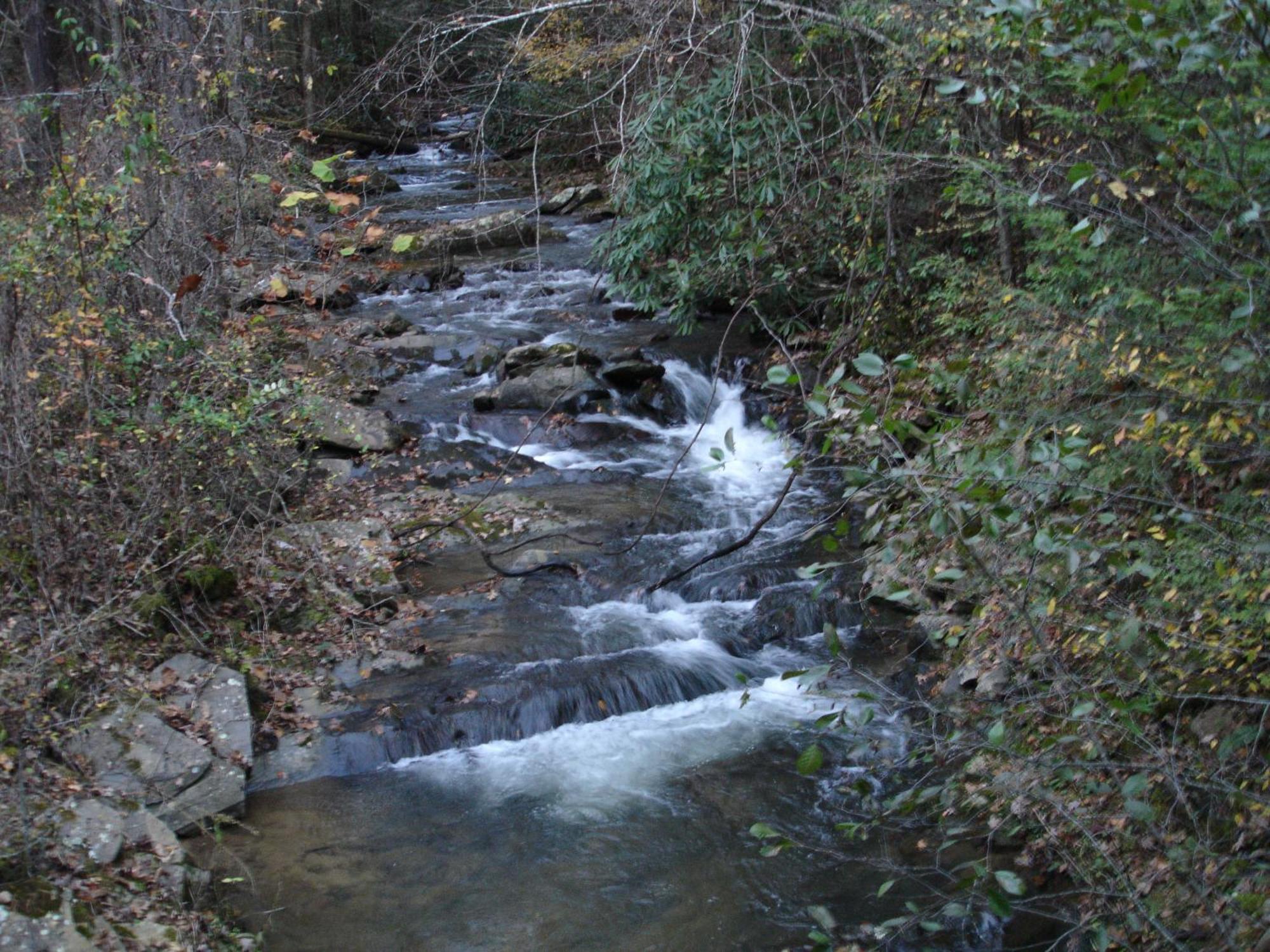 Stairway To Heaven, Breathtaking Mtn Views Indoor Pool & Hot Tub Appartement Gatlinburg Buitenkant foto